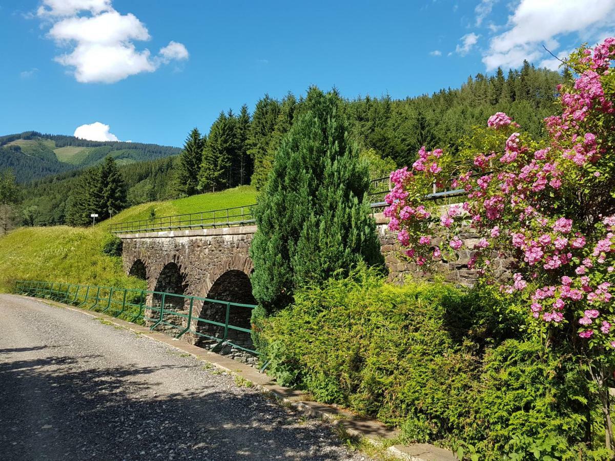 Vermietung Ronner Vordernberg Buitenkant foto